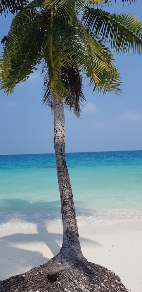 South Ari Inn - View 45