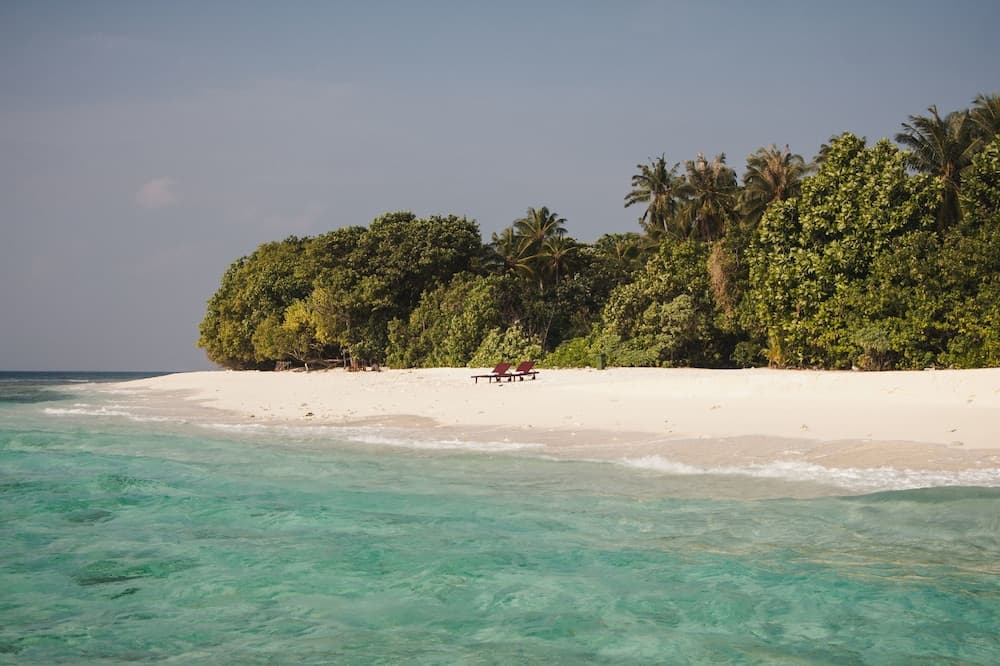 Gurahaana Guest House - View 2