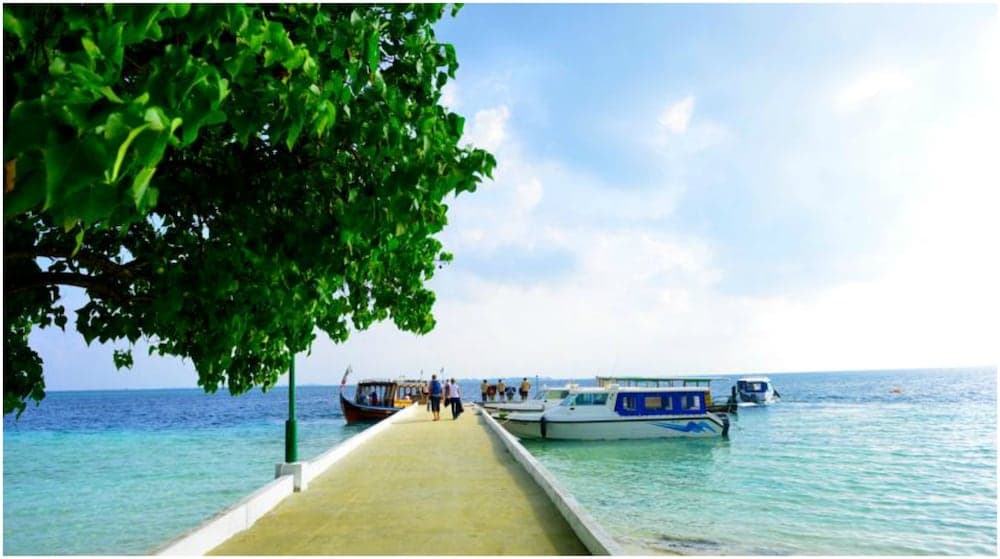 Biyadhoo Island Resort - View 31