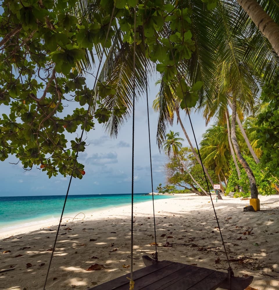 LVIS blancura - View 12