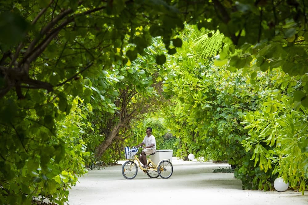 Kuredhivaru Resort & Spa Maldives by Accor - View 21