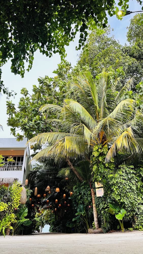 Odi Kamadhoo - View 1