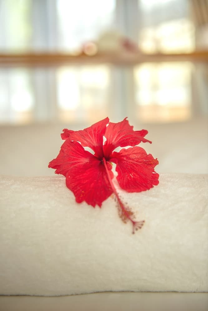 Tropical Biosphere Hotel - View 12