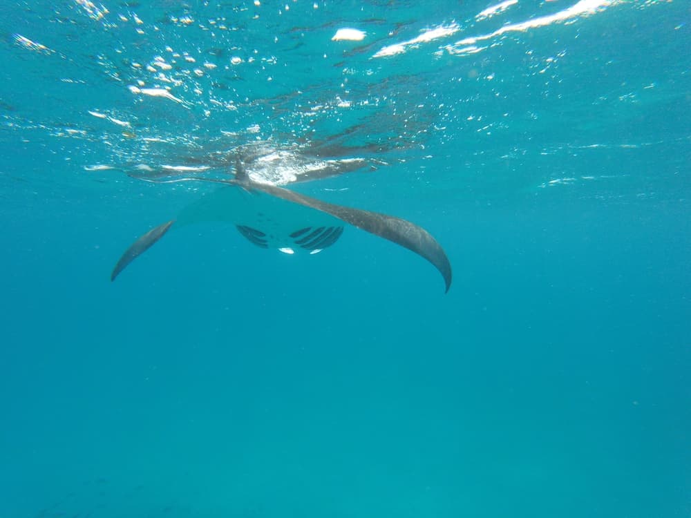 Beach Veli - View 51