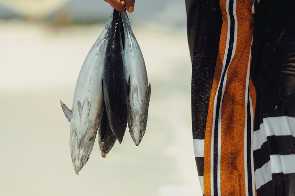 Fasdheythere Inn - View 13