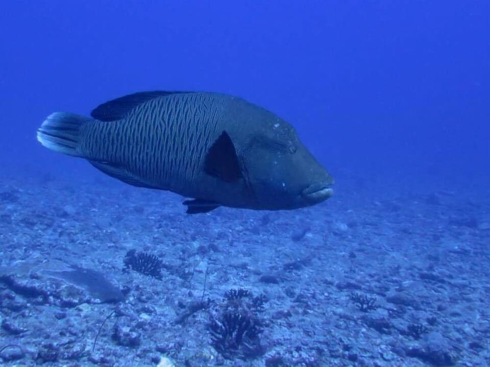 Rasdhoo Holiday Home - View 103