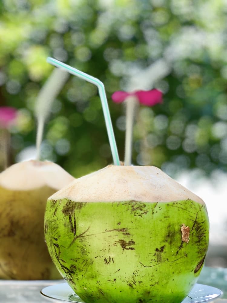 Ocean Vibes Guesthouse - View 16