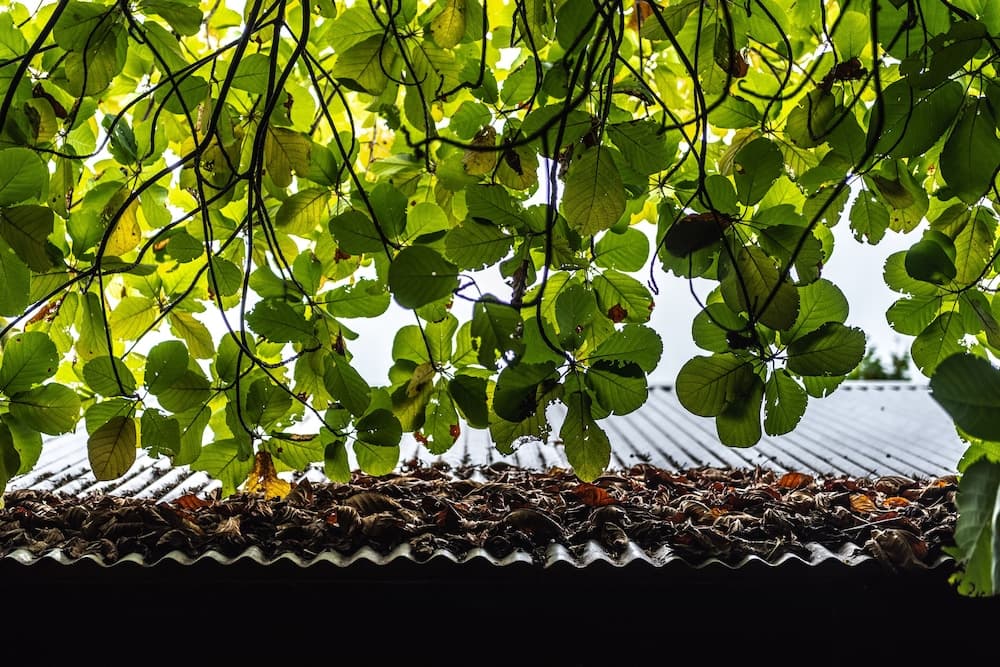 Mi Lugar Retreat and Spa - View 54