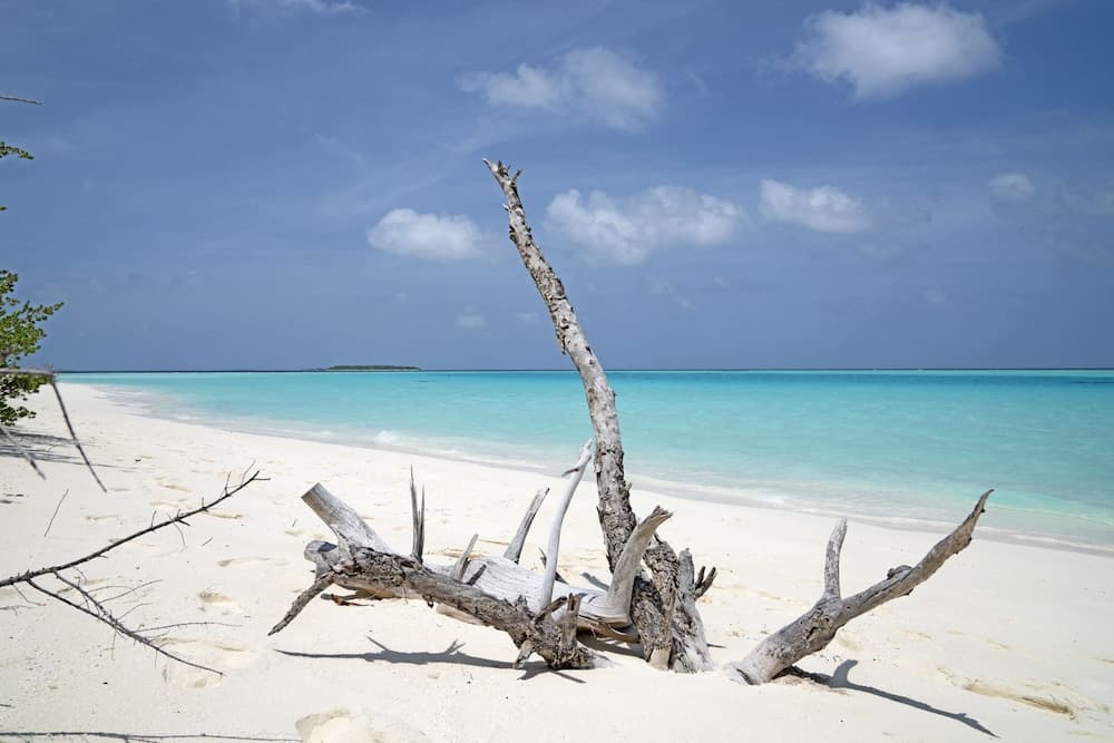 Ocean Village Maldives - View 39