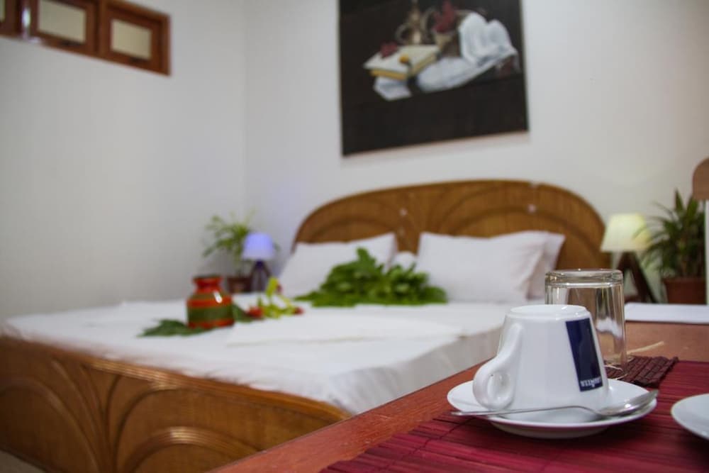 Alvi Star Inn - View 6