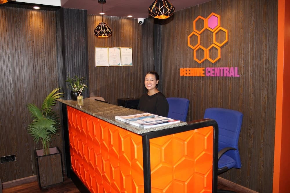 Beehive Central - View 41