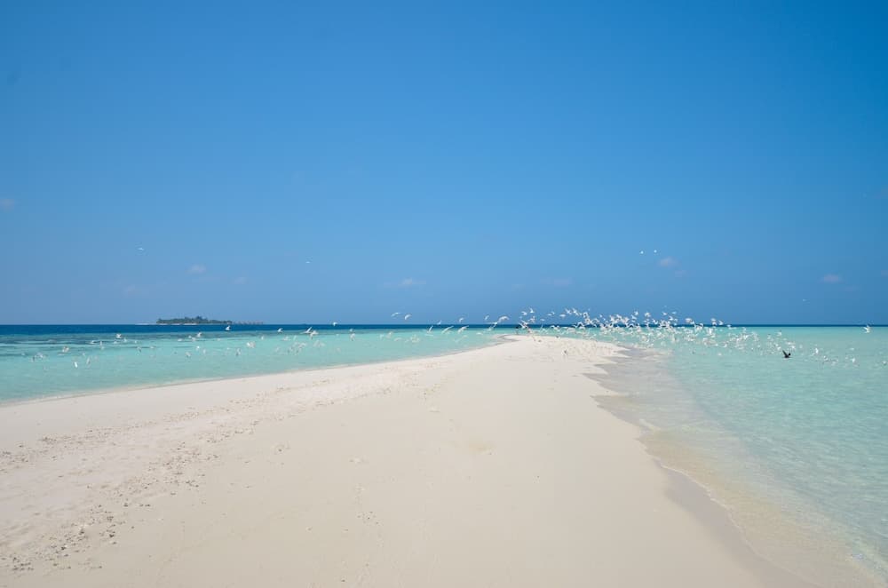 Starry Night At Ukulhas - View 37