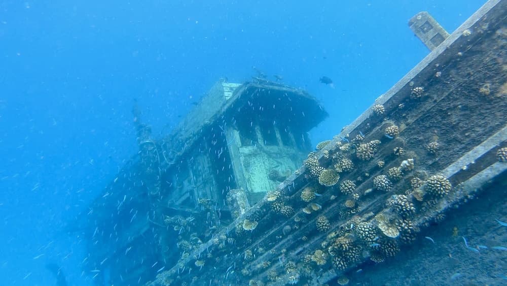 Yacht Fascination Maldives - View 33