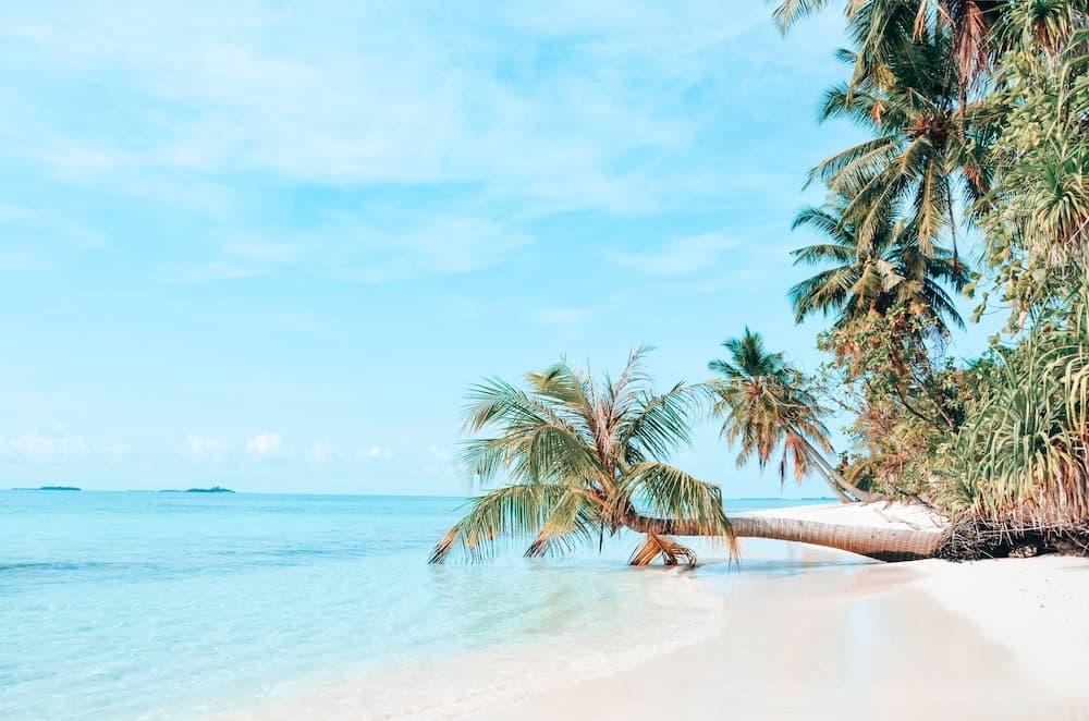 Bliss Dhigurah - View 63