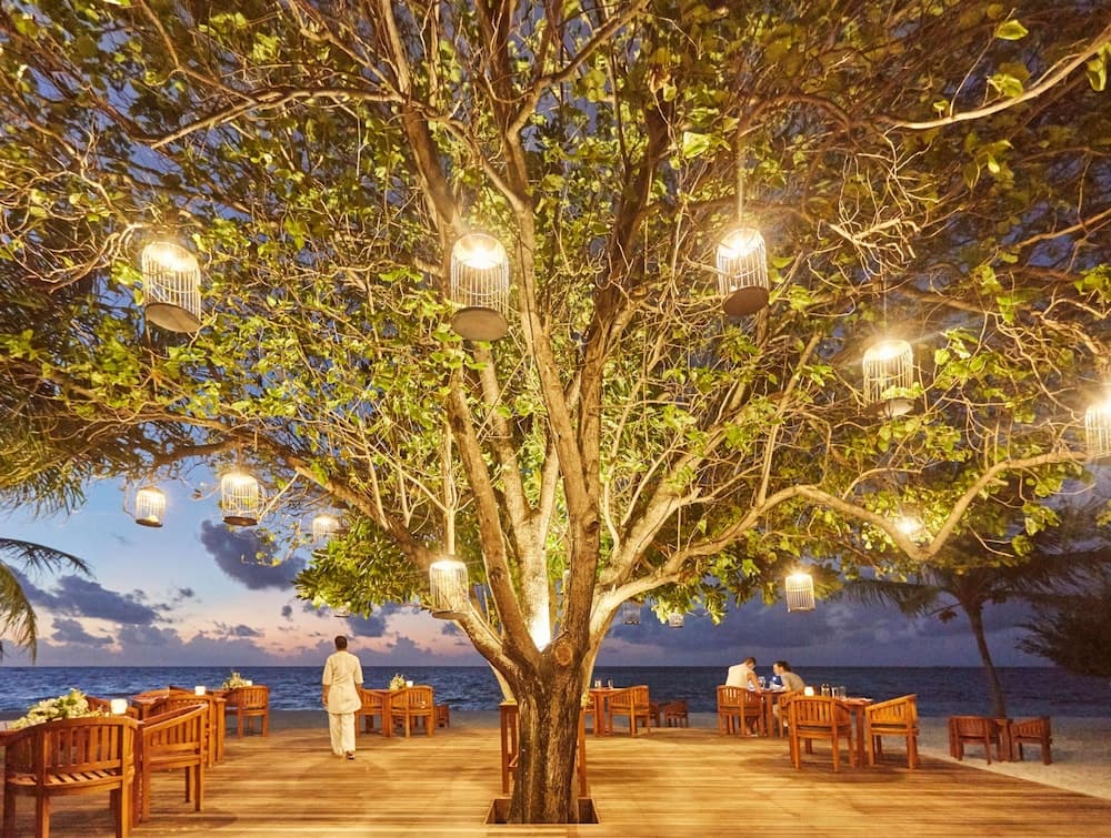 LUX* South Ari Atoll - View 234