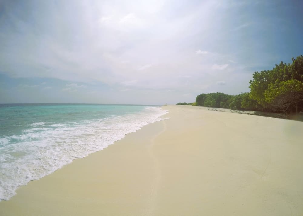 Annama Lodge And Dive - View 88