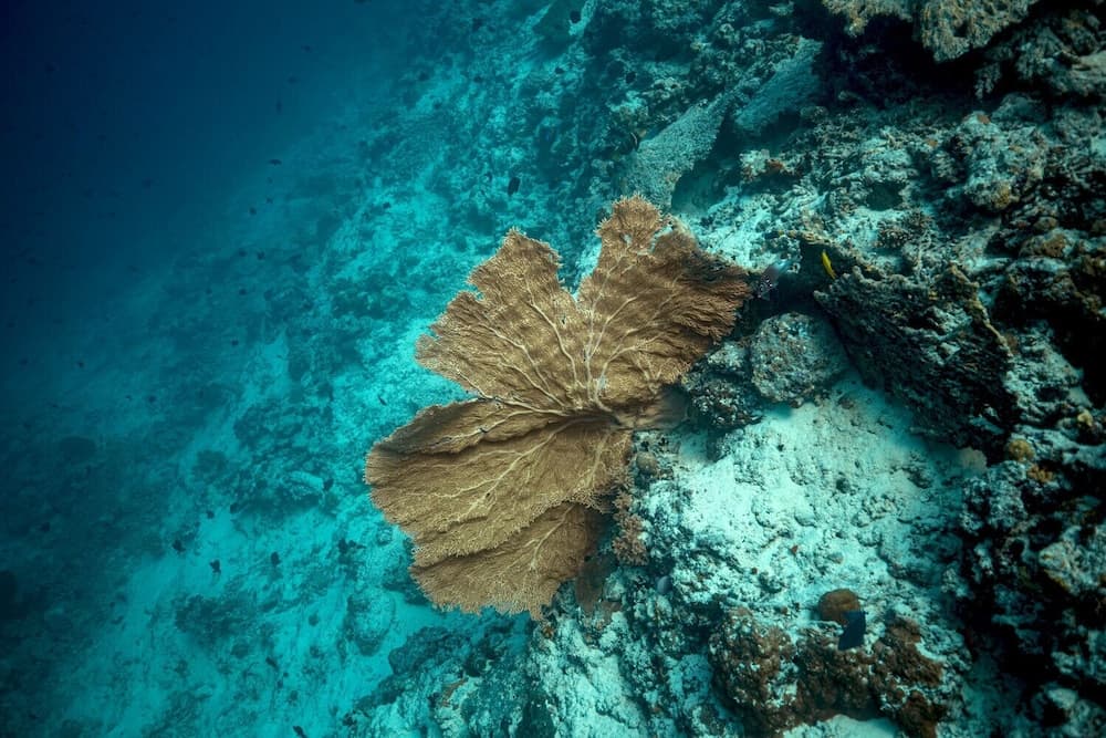 Endheri Sunset - View 43