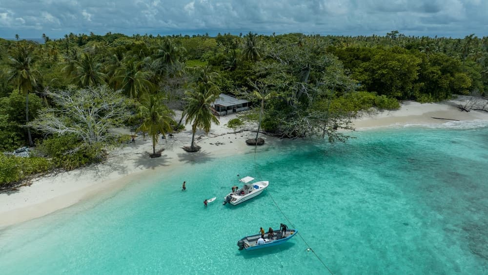 Stay Mikado - View 7