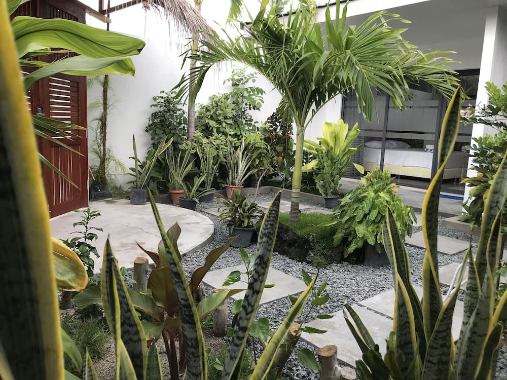 Royal Stay Inn - View 14