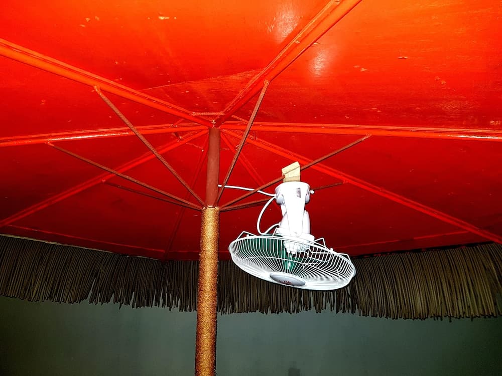 Island Guest - View 60