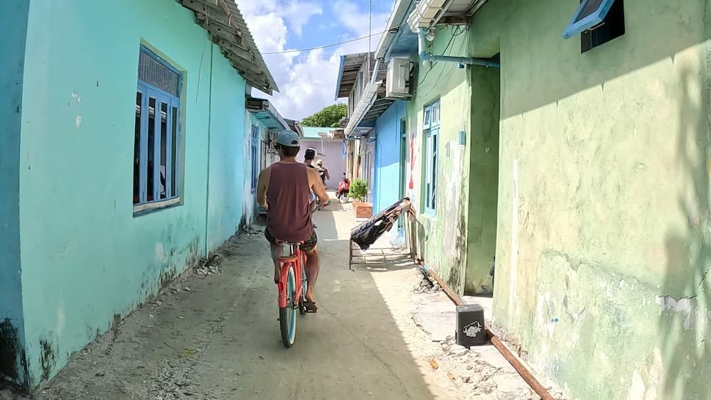 Stay Mikado - View 52