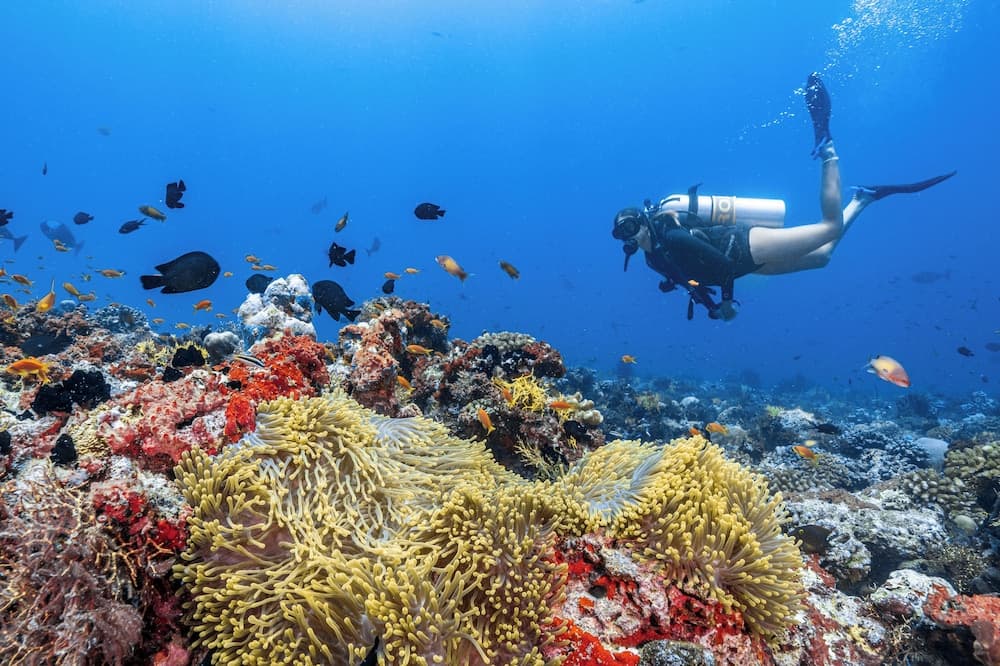 Finolhu, A Seaside Collection Resort, a Member of Design Hotels - View 69