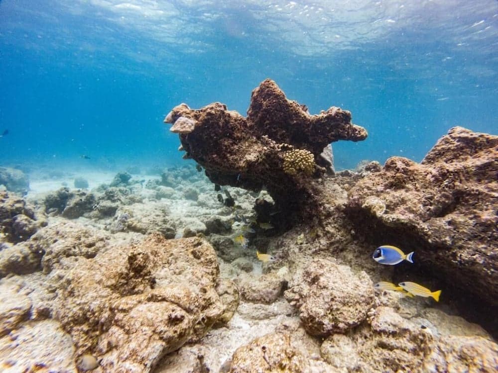 One The Island - View 16