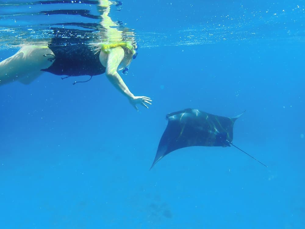 Ganduvaru Villa - View 92