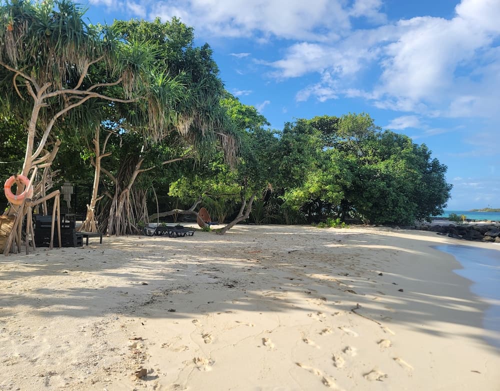 Palm Residence - View 46