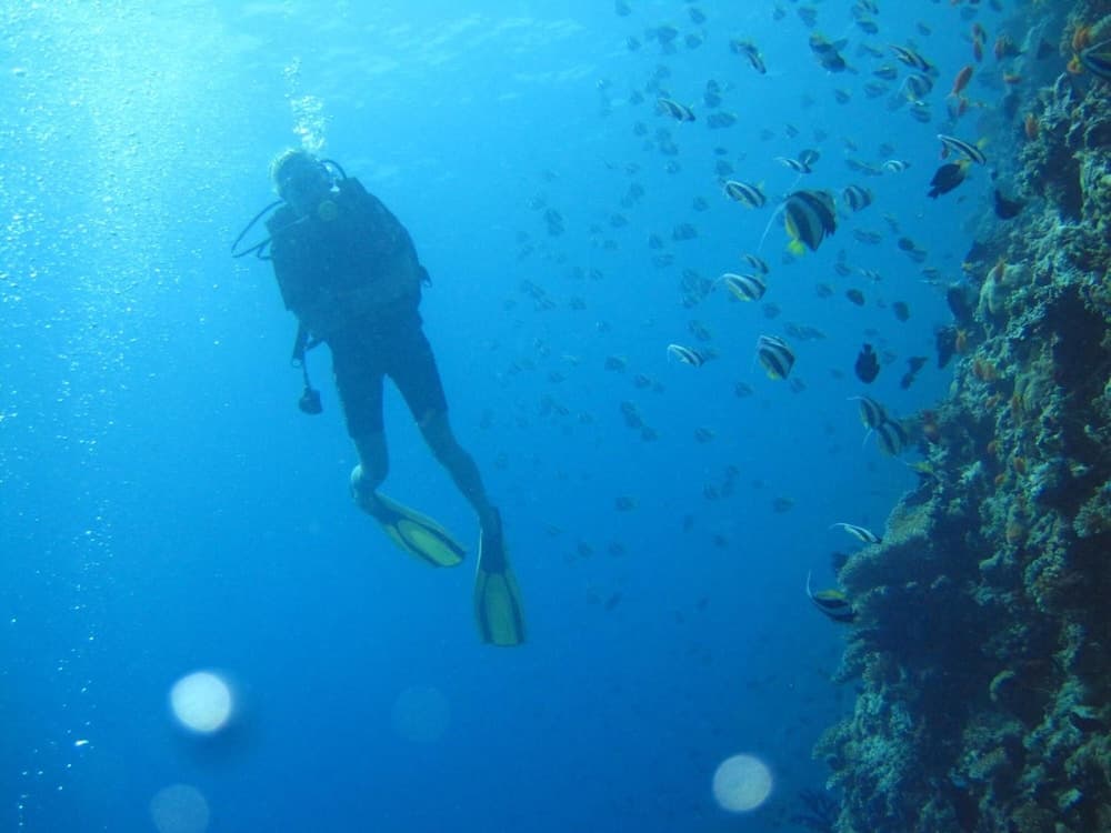 Kuri Beach View Inn - View 6