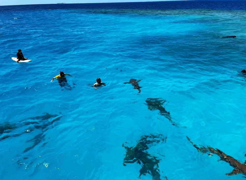 Adroit Beach Inn - View 49