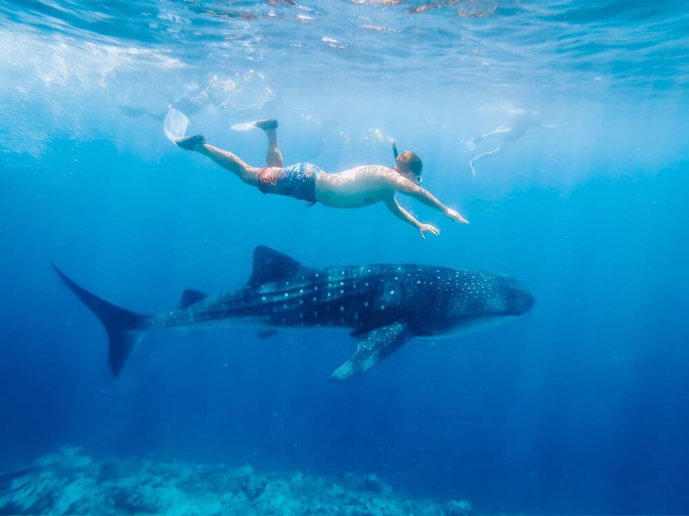 Bliss Dhigurah - View 64