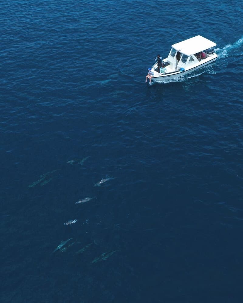 Araamu Hotels Maldives - View 16