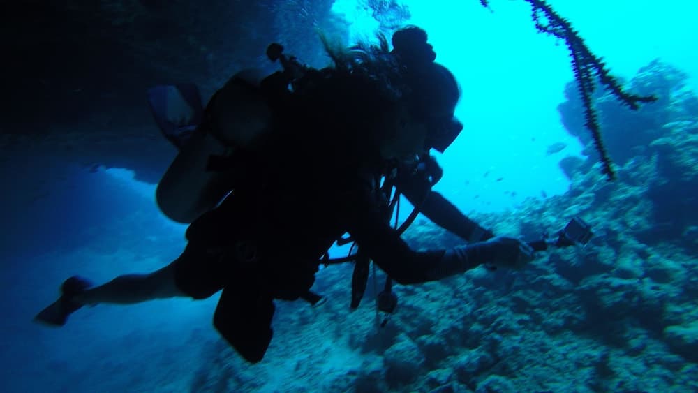 Equa Reef Maldives - View 82