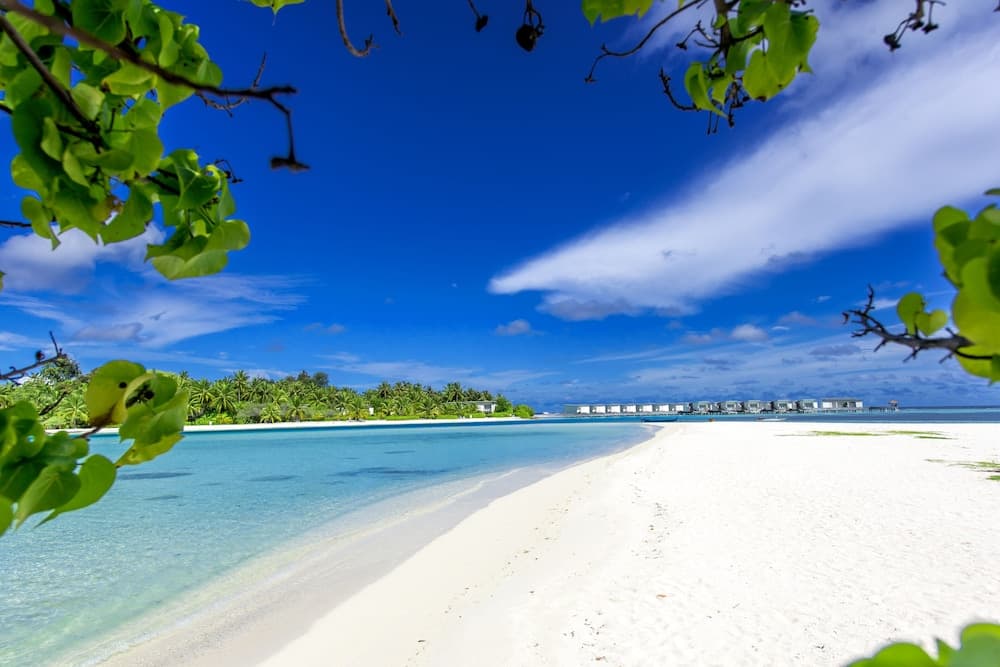 Ithaa Beach Maldives - View 28
