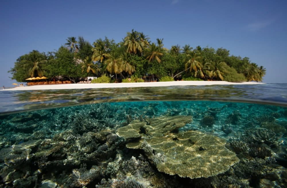 Dhawa Ihuru, part of Banyan Group - View 71