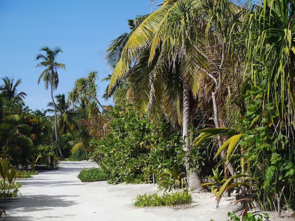 The Residence Maldives - View 73