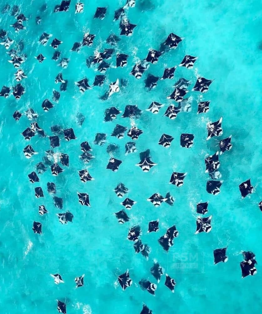 Kihaa Maldives - View 101