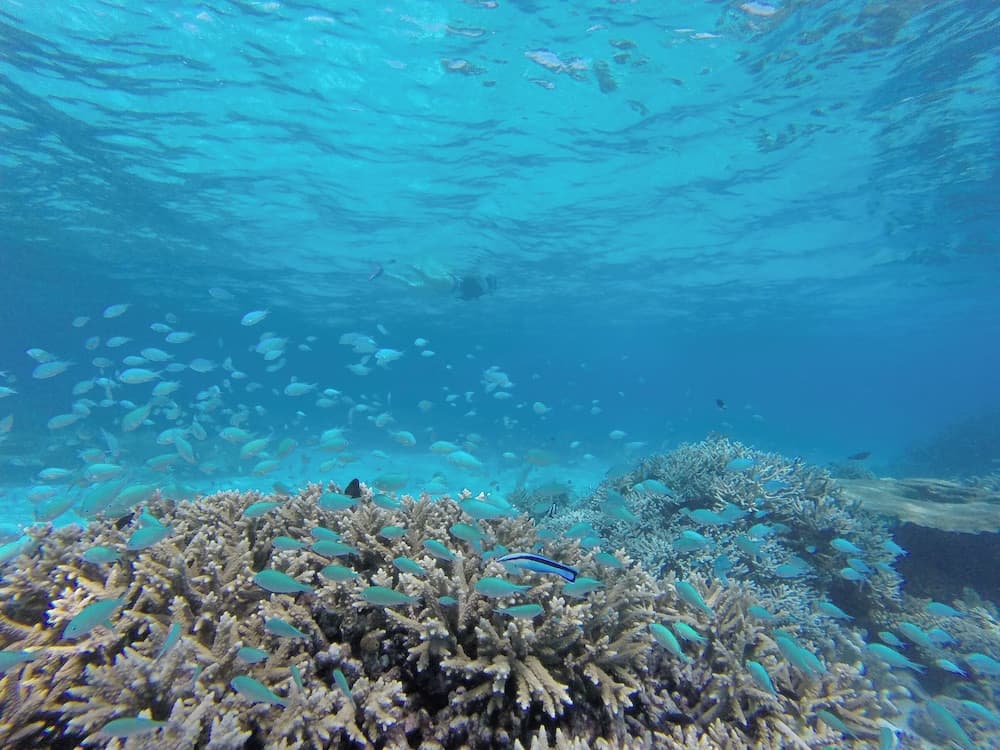 Ganduvaru Villa - View 27