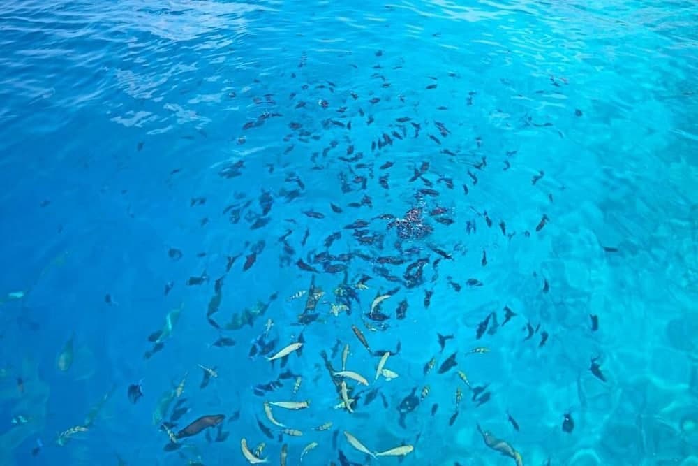 Ocean Village Maldives - View 33