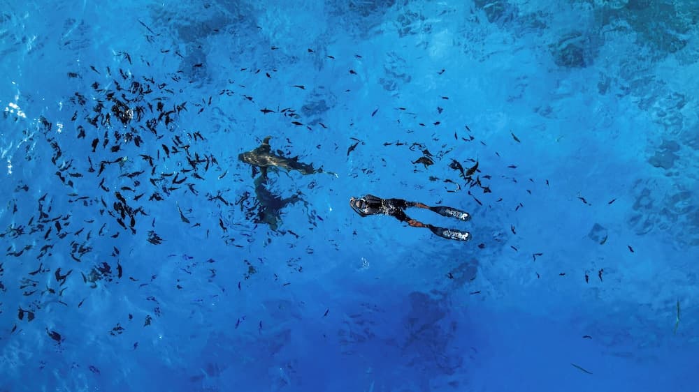 SEASUNBEACH MAAFUSHI - View 33