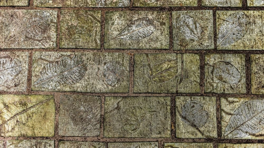 Mi Lugar Retreat and Spa - View 20