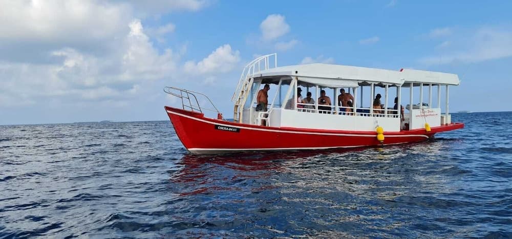 Liberty Guest House Maldives - View 153