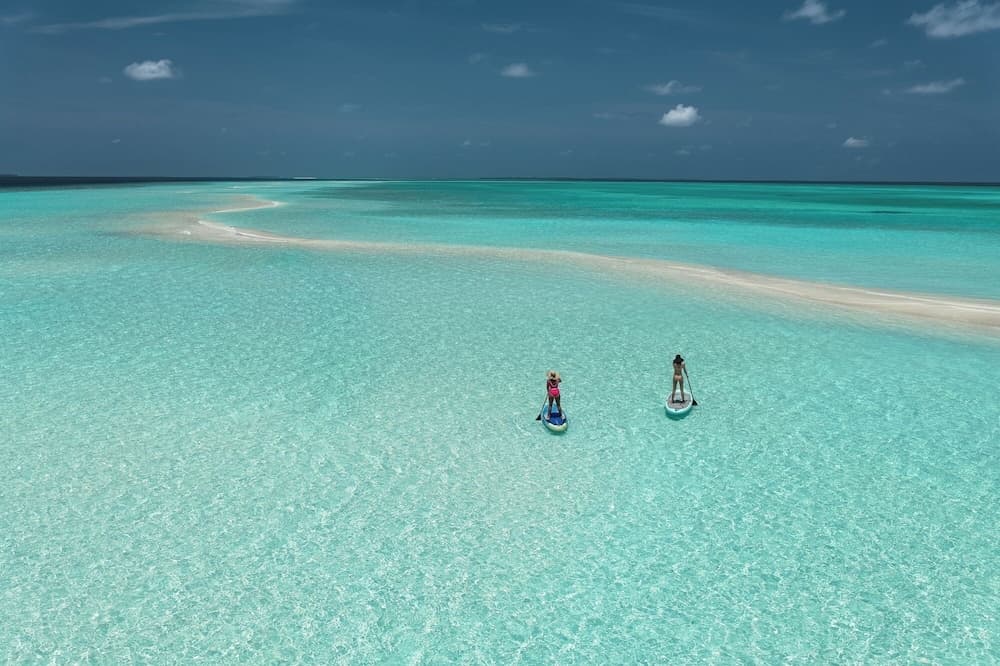 Nest by Hawks Hotels Kamadhoo Baa Atoll - View 26