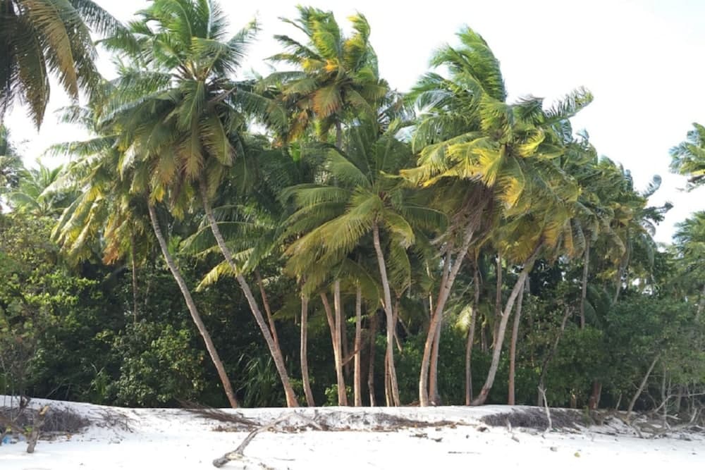 Liyela Retreat Maldives - View 12