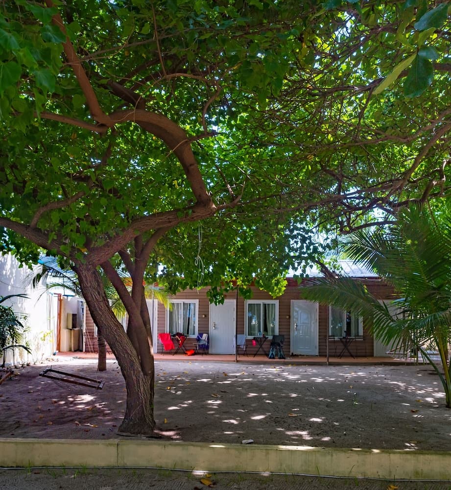 LVIS blancura - View 17