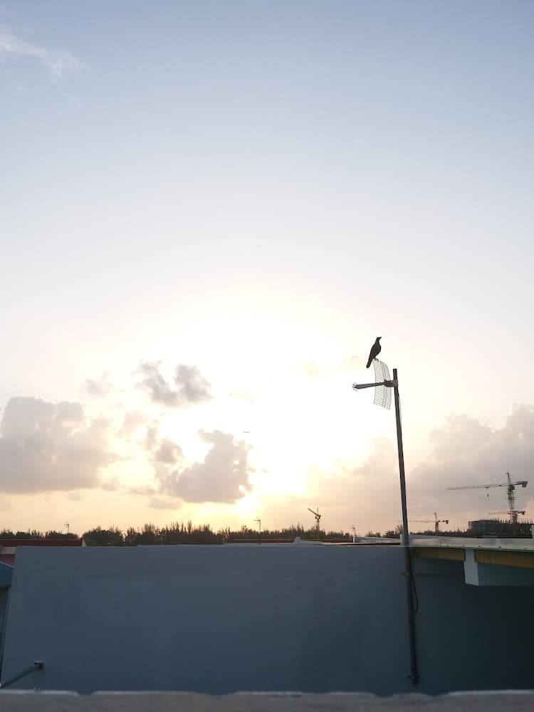 Amber Terrace lot.11125 R-1509 - View 17