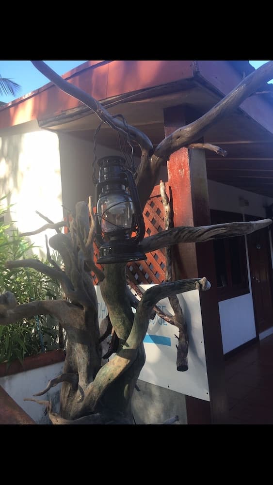 Hudhu Raakani Lodge - View 27