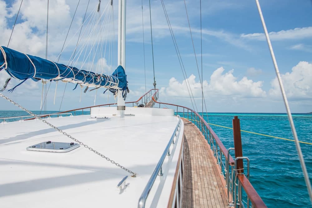 Akoya Pearl - View 8