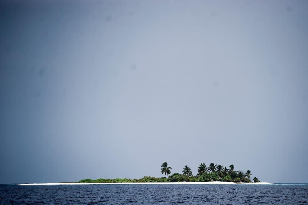 Detour Beach View - View 55